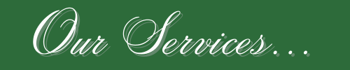 terrace our services (1)